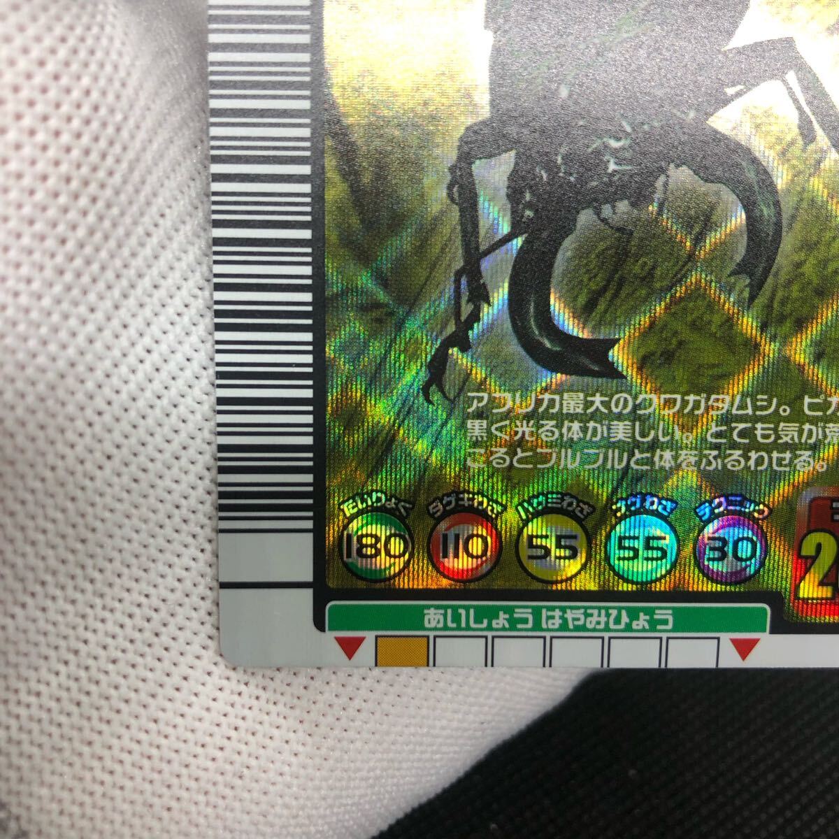 甲虫王者ムシキング ムシキングカード 2004セカンド タランドゥスツヤ