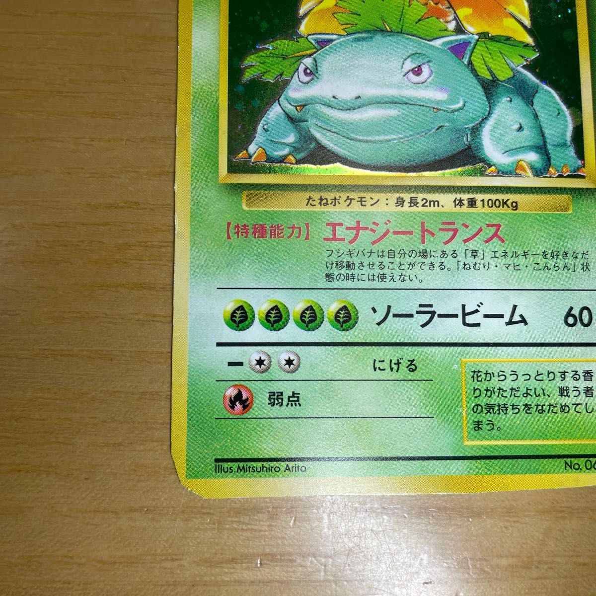 訳あり特価】フシギバナ 初版 旧裏 マークなし ポケモンカード 旧裏面