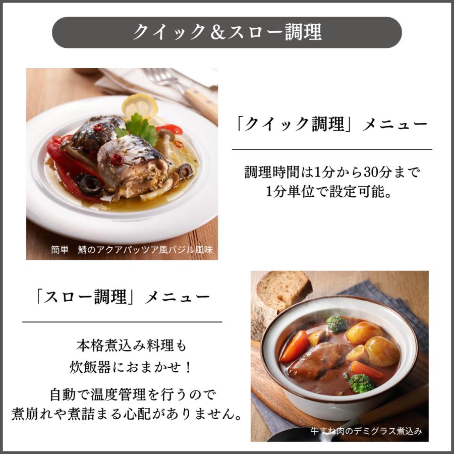炊きたて WEB限定 炊飯器 5合炊き タイガー 圧力IH炊飯器 お手入れ2点