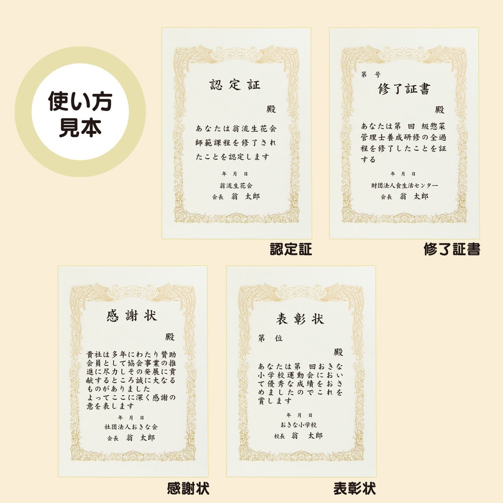 SX-A4Y OA対応賞状用紙 A4 1冊(10枚) オキナ 【通販モノタロウ】