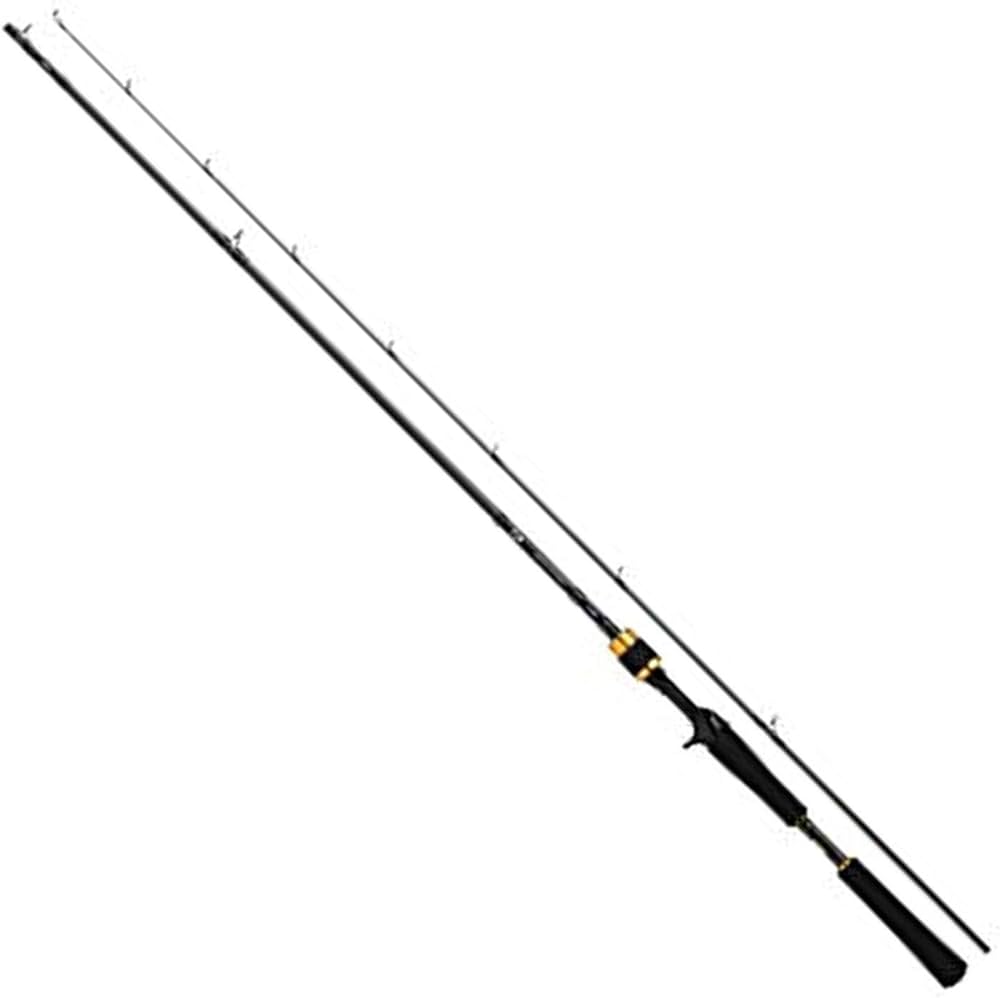 Amazon | ダイワ(DAIWA) ボートシーバスロッド ラテオ BS 73HB 釣り竿